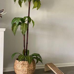 Meet your Posher, Janice